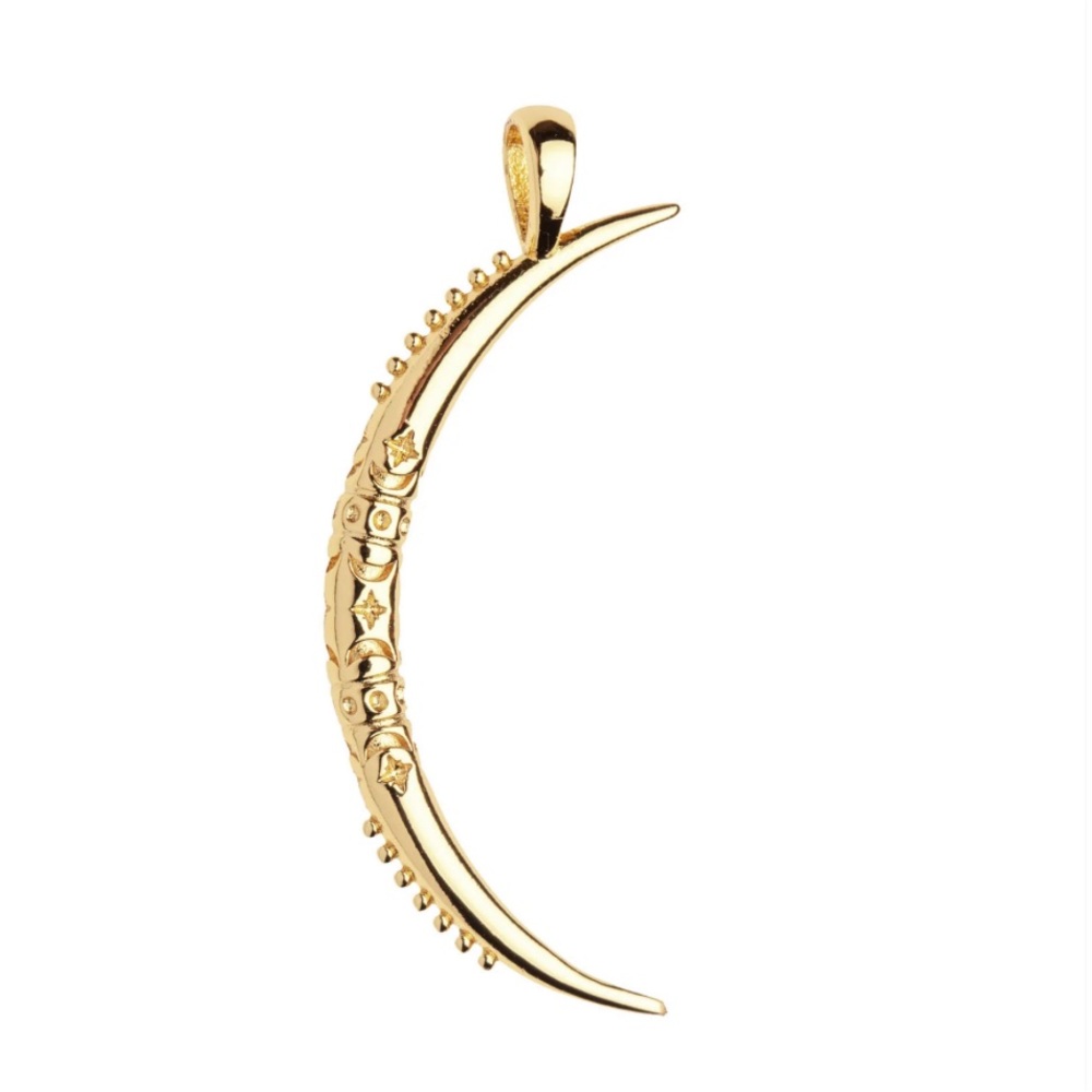 Jane Win | FOREVER Celestial Crescent Moon Charm | 14k Gold Plated 🌙